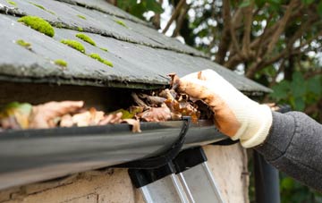 gutter cleaning Spanish Green, Hampshire