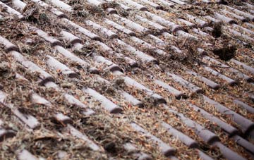 Spanish Green roof cleaning companies