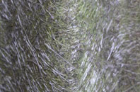 Spanish Green fibreglass roof work